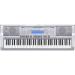 WK-210 76 Key Digital Keyboard Workstation Image