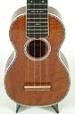 5 Daisy Ukulele Image