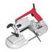 6238N Portable Image