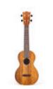 2K Concert Uke Image