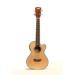 T1K Uke Image