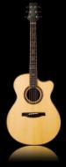 Tony McManus Private Stock Acoustic Image