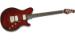 25th Anniversary Guitar Image