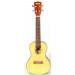 Spruce Top KA-ST Image