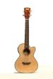 Spruce Top KA-STE-C Image