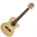 Flame Maple KA-FMTE-C Image