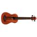 Solid Mahogany UBASS Fretless Image