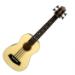 Spruce Top UBASS-2 Fretless Image