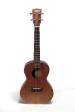 Mahogany KA-T Image