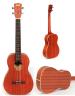 Mahogany KA-8E Image