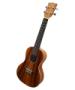 Hawaiian Koa KA-KC Image
