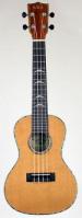 Hawaiian Koa KA-KCG-CT Image