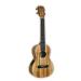 Spalted Maple KA-SMTE Image
