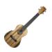 Pacific Walnut KA-PWTE Image