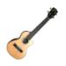 Solid Spruce Top/Rosewood KA-SRCE-C Image
