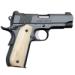Classic Carry Pro Image