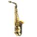 901-LASAX276065BK Series 1 Alto Image