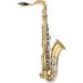 BTS-300 TENOR SAXOPHONE OUTFIT Image