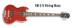 EB-3 5-String Image
