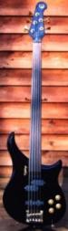 EBM-5 Fretless Image