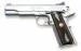 1911 Thompson Custom Stainless Image