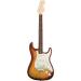 American Deluxe Stratocaster Ash Image