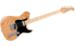 Pacifica PAC1511MS Mike Stern Signature Model Image