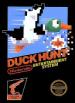 Duck Hunt Image