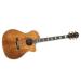 USA Select Classic Koa Auditorium Cutaway Image