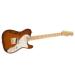 Fender Select Thinline Telecaster With Gold Hardware Image