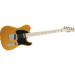 Affinity Series Telecaster Image