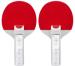 Wii Ping Pong Paddles Image