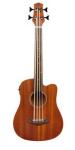 MicroBass Fretless Image