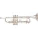 ST-307S ARTIST MF HORN Bb Image